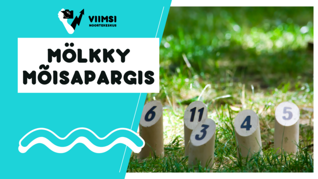 mölkky mõisapargis