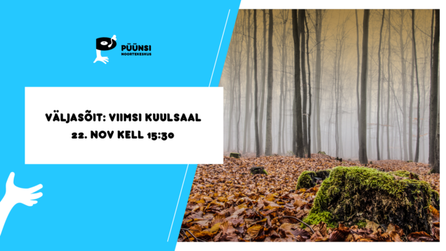 Püünsi Noortekeskuse tegevused_kodulehekülg!-17